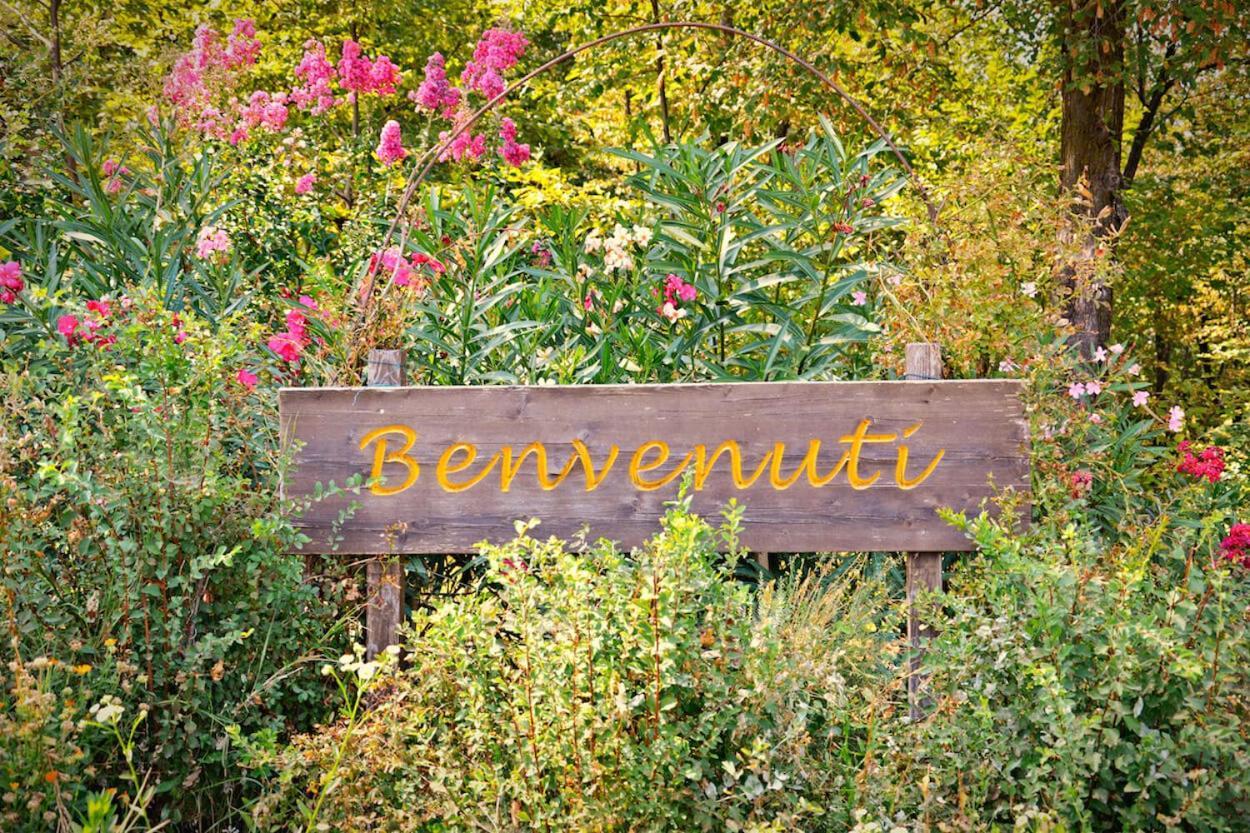 Agriturismo Il Porcellino 퀸토 디 발판테나 외부 사진