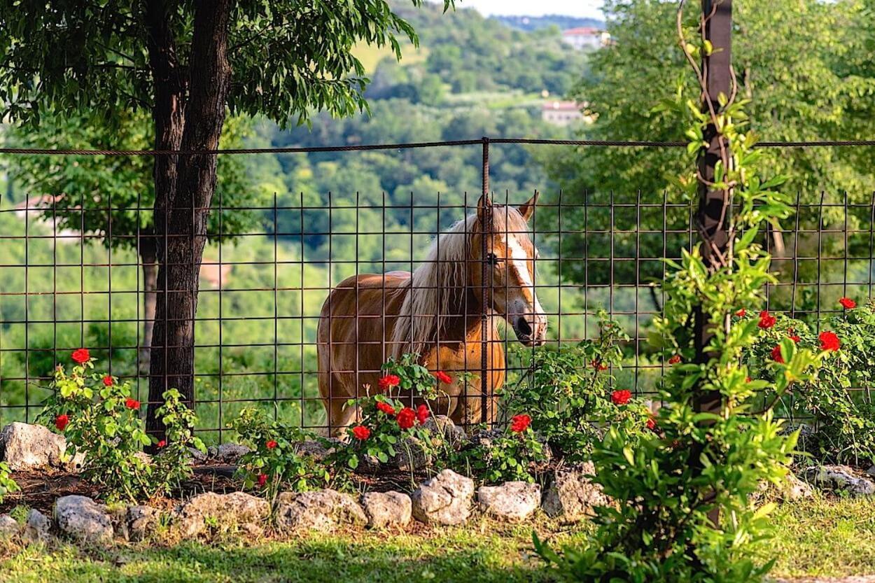 Agriturismo Il Porcellino 퀸토 디 발판테나 외부 사진
